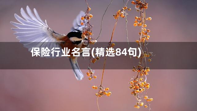 保险行业名言(精选84句)